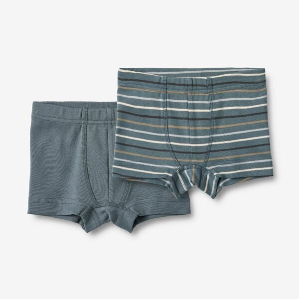 2 Boxer shorts Louis - blue multi stripe